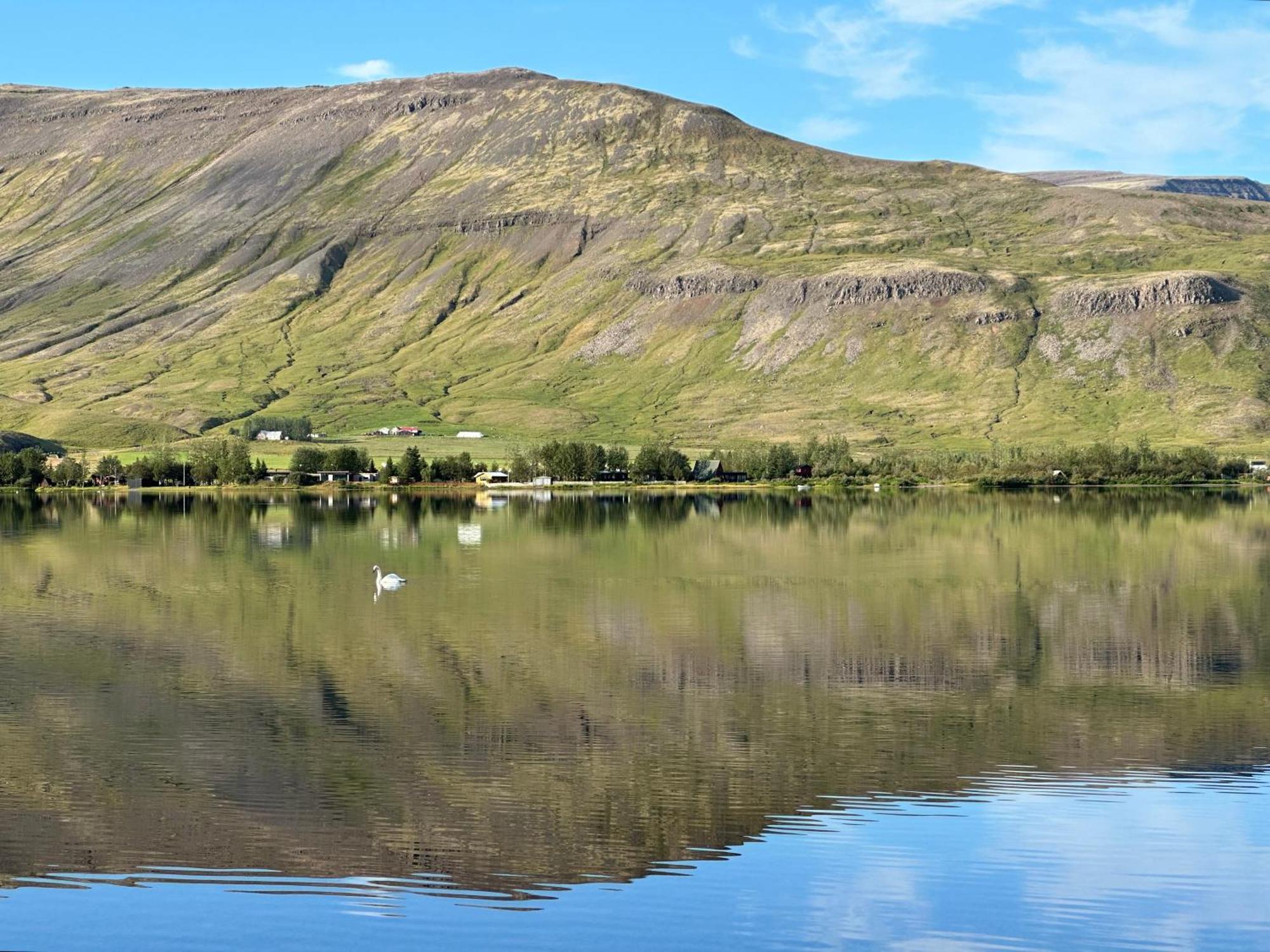 Cosy Lakeview Cabin 45 Minutes From Reykjavik Mosfellsbaer Luaran gambar
